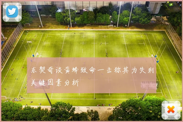 东契奇谈黄蜂致命一击称其为失利关键因素分析