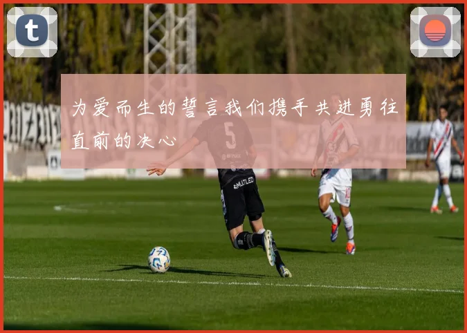 为爱而生的誓言我们携手共进勇往直前的决心